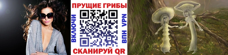 Купить Ростов-на-Дону Псилоцибиновые грибы мухоморы
